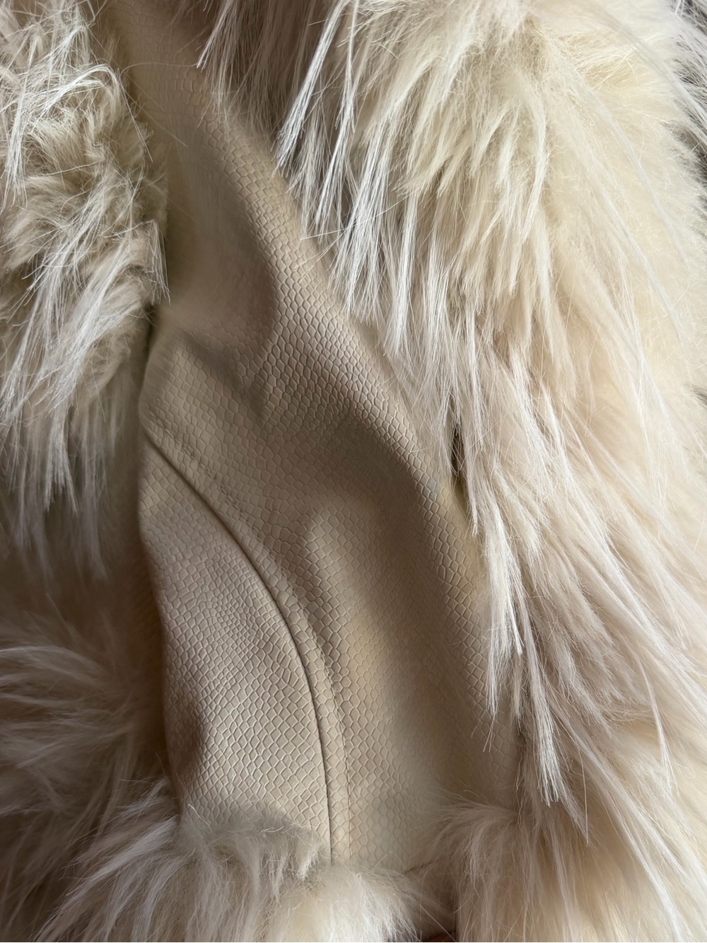 AKIRA Lovergirl Ultra Cropped Jacket - Picture 6 of 6